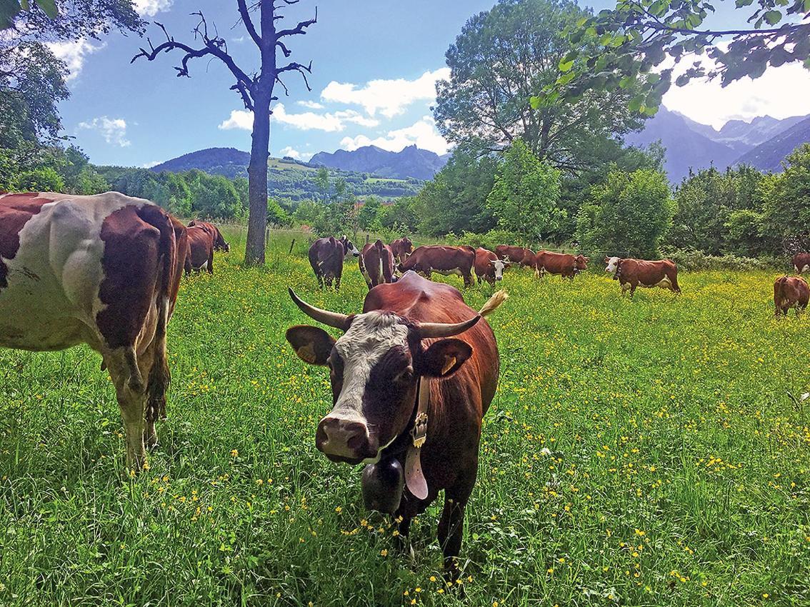 L'Ourserie Bed & Breakfast Saint-Paul-en-Chablais Exteriér fotografie