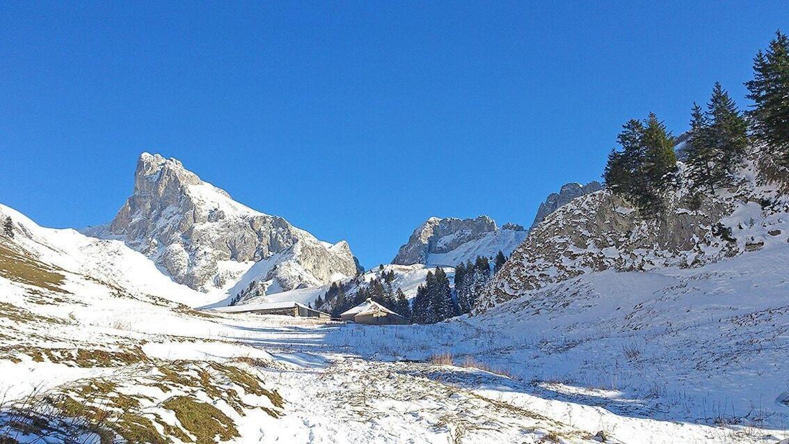 L'Ourserie Bed & Breakfast Saint-Paul-en-Chablais Pokoj fotografie