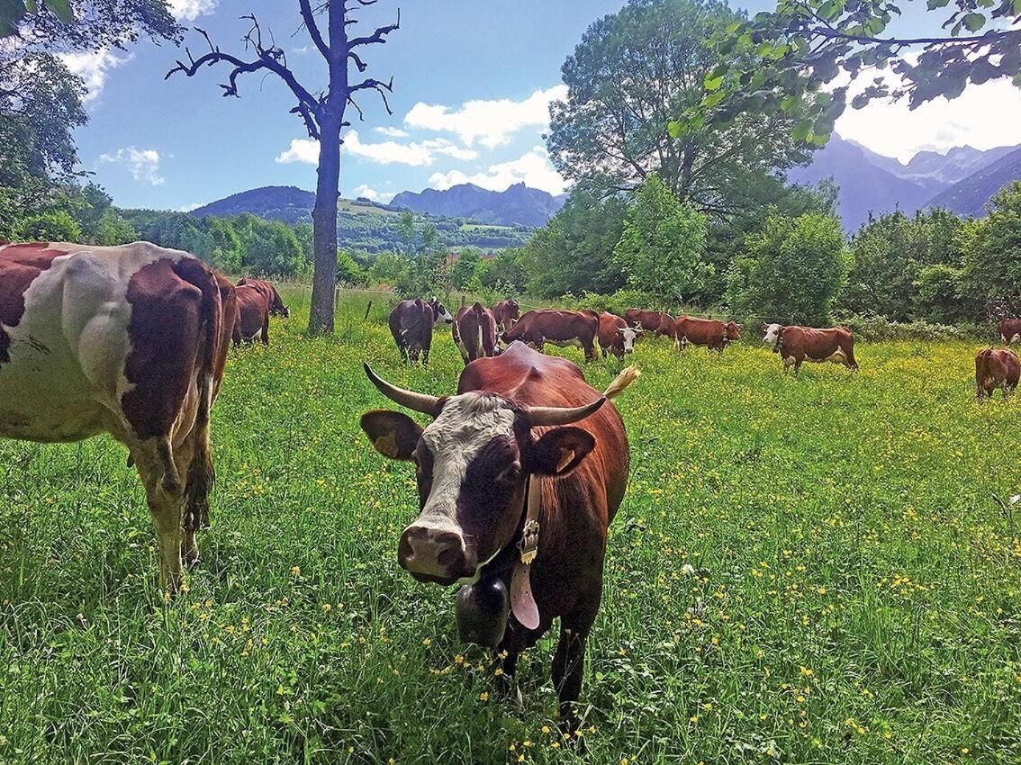 L'Ourserie Bed & Breakfast Saint-Paul-en-Chablais Pokoj fotografie